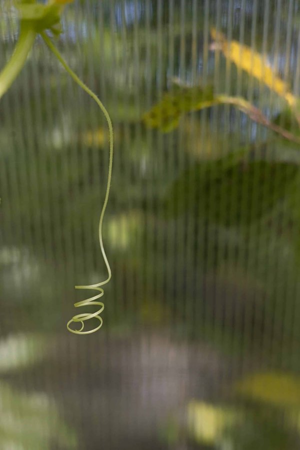 How to Design a Safe and Inviting Playroom for Children with Special Needs?