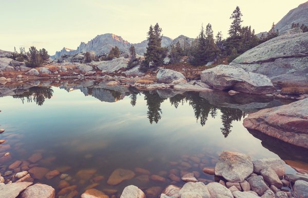 How Can You Create a Space-Saving Vertical Bike Storage Solution in a Small Entryway?